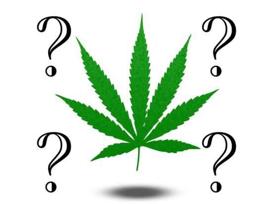 21639512 - marijuana questions